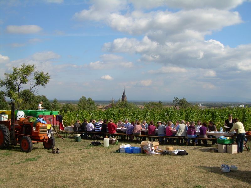 2009 036