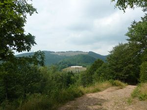 P1110455