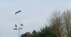 IMG_4656