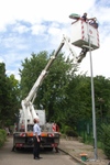 Web_cam_cigognes_juin_2007