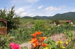 Jardins_2
