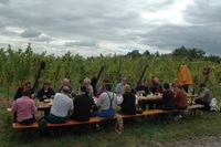 Vendanges_4