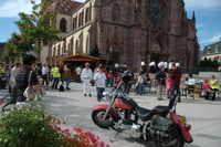 Motovirade_1