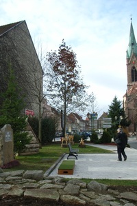 Abb_1