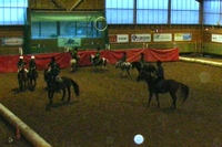 Horse_ball Horse_ball