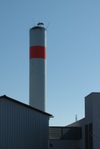 Cigognes_sur_chemine