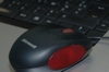 Souris
